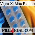 Vigra Xl Max Platinum 22